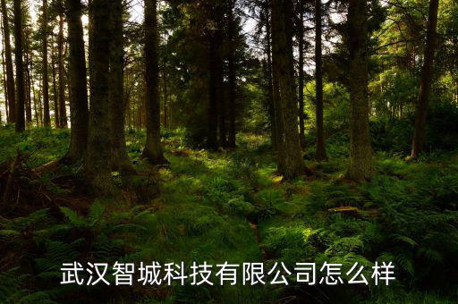 上海延華智能怎么樣,各大建筑企業招聘智能建筑學人才