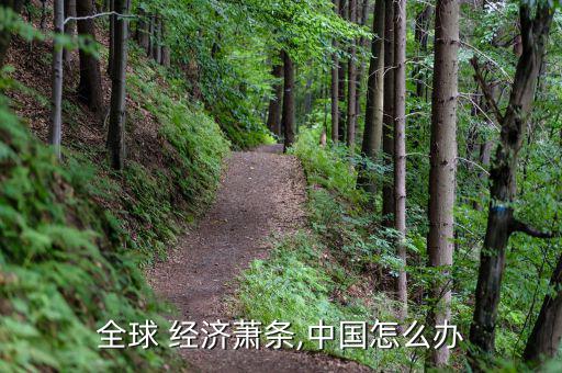 怎么解決中國經濟下滑,經濟學家們忘記了中國正處于經濟轉型期