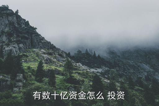 有數十億資金怎么 投資