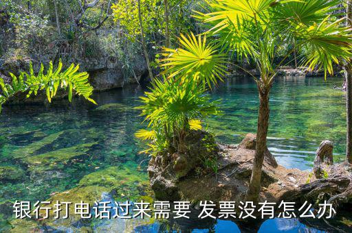 銀行打電話過來需要 發票沒有怎么辦