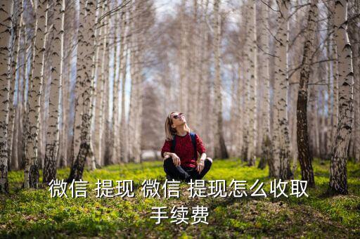  微信 提現 微信 提現怎么收取 手續費