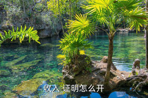 怎么證明公司營業額,稅務總額取決于資產負債表本期應如何寫?