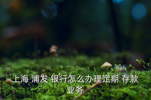 上海 浦發 銀行怎么辦理定期 存款業務