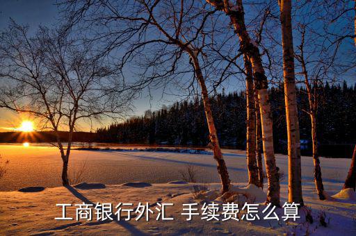 工商銀行外匯 手續費怎么算