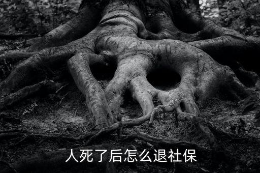 人死后新農合養老保險怎么退,人死了以后醫保還能退嗎?