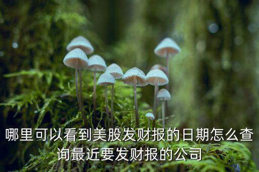 哪里可以看到美股發財報的日期怎么查詢最近要發財報的公司