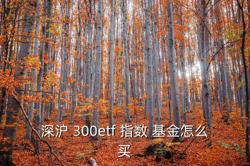 深滬 300etf 指數 基金怎么買