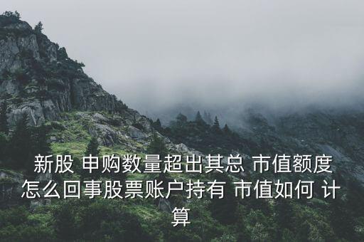  新股 申購數量超出其總 市值額度怎么回事股票賬戶持有 市值如何 計算