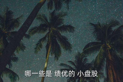 哪一些是 績優的 小盤股