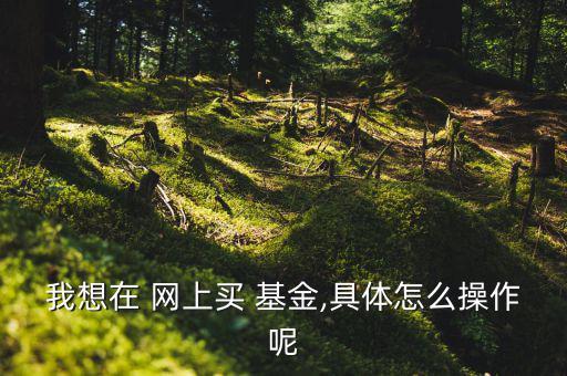 在網上怎么買基金,中國銀行網上bank基金如何購買和使用?