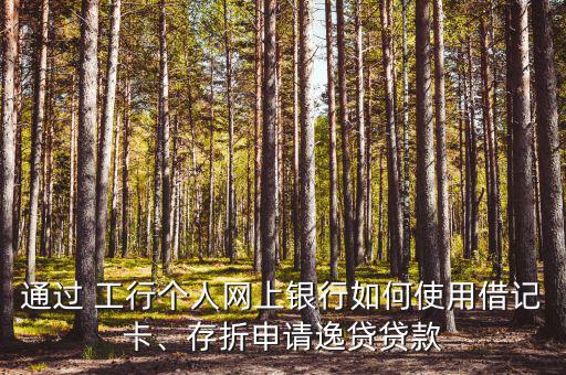 通過 工行個人網上銀行如何使用借記卡、存折申請逸貸貸款