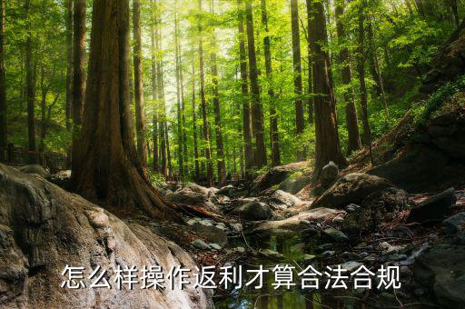 怎么樣操作返利才算合法合規