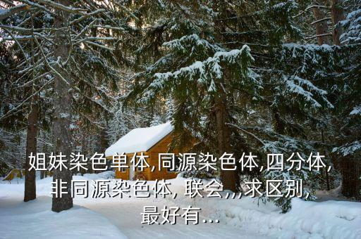 姐妹染色單體,同源染色體,四分體,非同源染色體, 聯會,,,求區別,最好有...