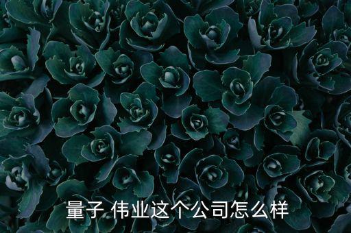  量子 偉業這個公司怎么樣