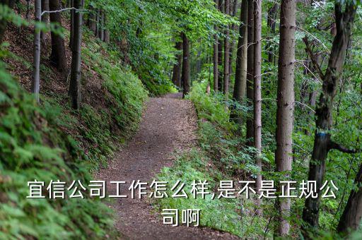  宜信公司工作怎么樣,是不是正規公司啊