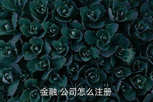 貸后催收管理公司怎么注冊,公司變更事項登記機關換發營業執照