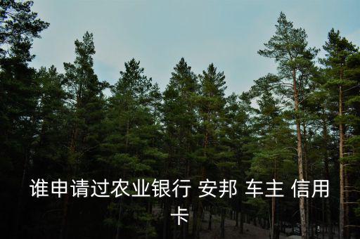誰申請過農業銀行 安邦 車主 信用卡