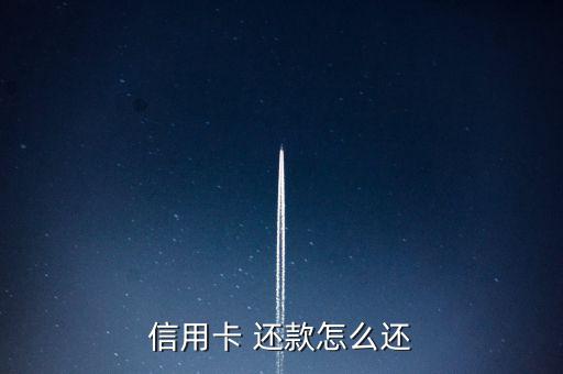 掌上生活怎么設置自動還款,新興信用卡還款模式-網絡還款