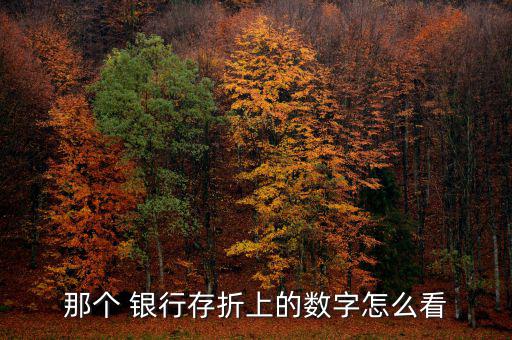 那個 銀行存折上的數字怎么看