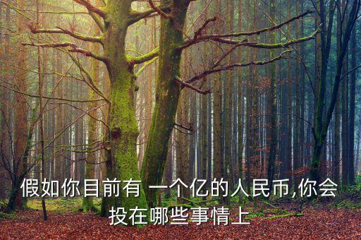 一個億怎么樣做金融投資,你的理財規劃