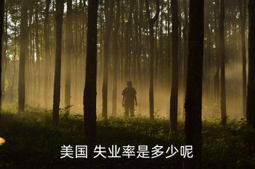 美國失業率怎么算,白宮經濟顧問預測美國失業率將達20%