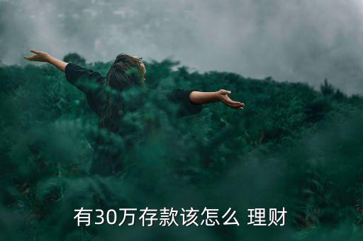 有三十萬怎么理財,選擇正規大平臺理財安全有保障