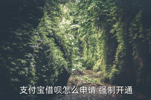  支付寶借唄怎么申請 強制開通