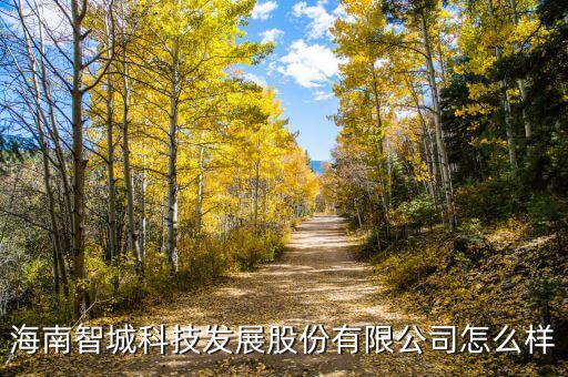 海南智城科技發展股份有限公司怎么樣