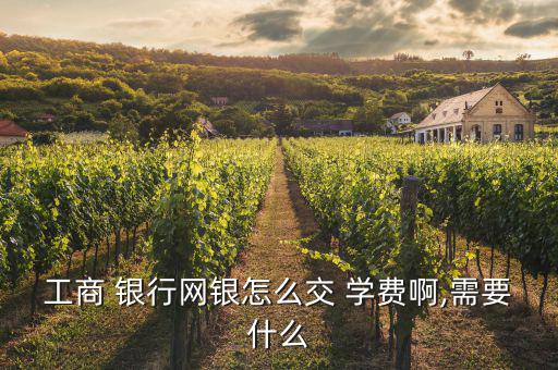 工商 銀行網銀怎么交 學費啊,需要什么