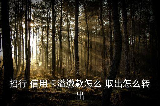 招行 信用卡溢繳款怎么 取出怎么轉出