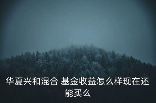 華夏興和混合 基金收益怎么樣現在還能買么