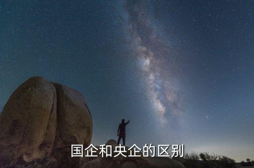 國企和央企的區別