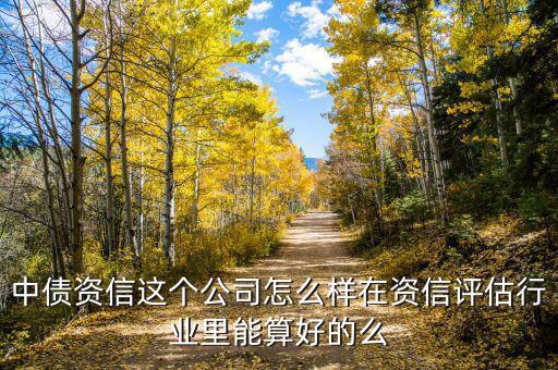 中債資信這個公司怎么樣在資信評估行業里能算好的么