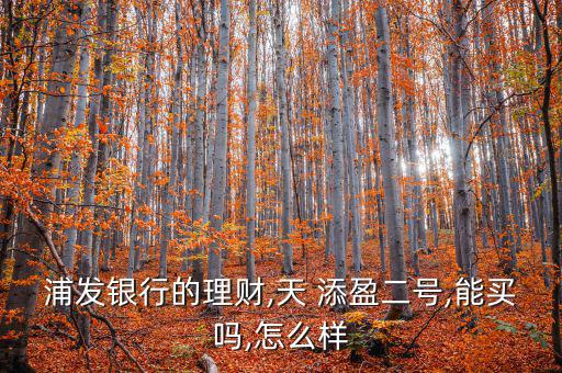 浦發天添盈怎么買,浦發銀行天添盈非交易小時內可辦理贖回需求