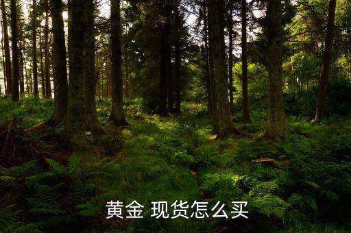 黃金 現貨怎么買