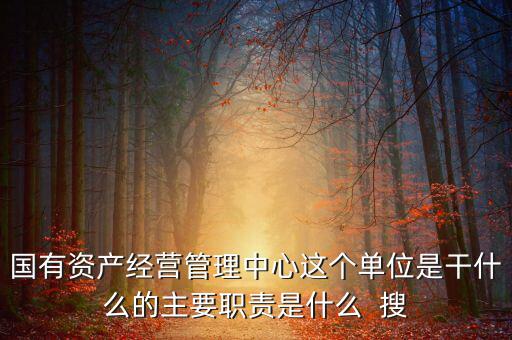 國有資產經營管理中心這個單位是干什么的主要職責是什么  搜