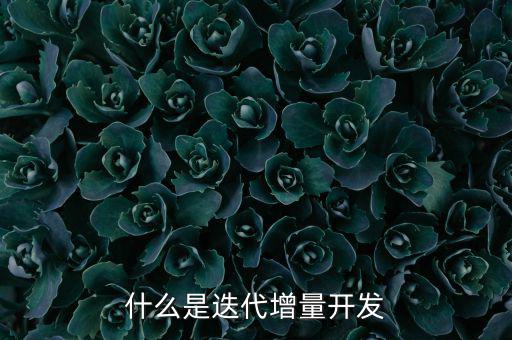 什么是增量發展，物理意義上的增量是什么意思