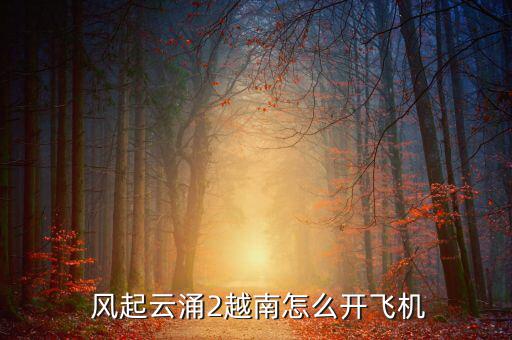 風起云涌怎么聯機,風起云涌2越南配置符合游戲配置