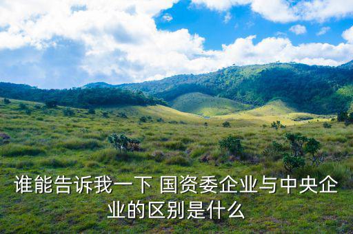 誰能告訴我一下 國資委企業與中央企業的區別是什么