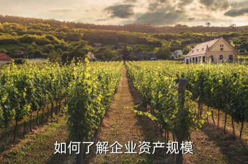 資產規模是什么，如何計算企業資產規模