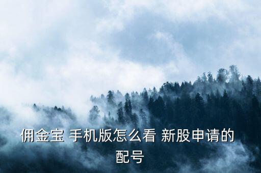 傭金寶 手機(jī)版怎么看 新股申請的 配號