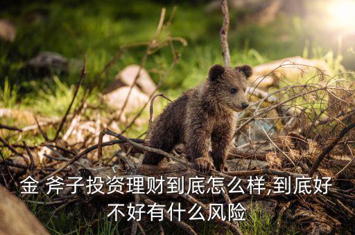 金 斧子投資理財到底怎么樣,到底好不好有什么風險