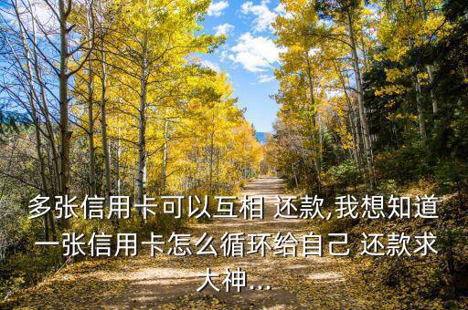 一張卡怎么套現還款,如何申請和使用借記卡?