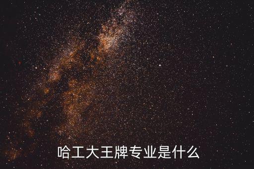  哈工大王牌專業是什么