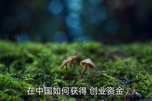 中國(guó)怎么創(chuàng)業(yè),創(chuàng)業(yè)、小企業(yè)怎么做?