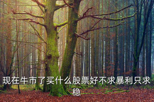 現在牛市了買什么股票好不求暴利只求穩
