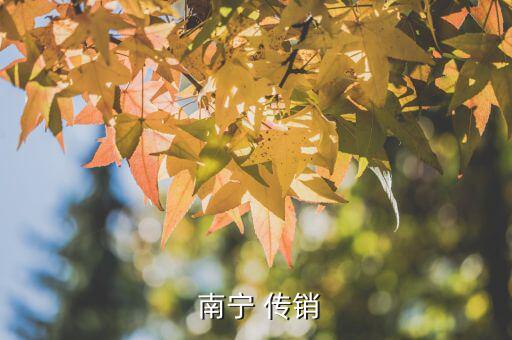 南寧怎么傳銷,廣西2022年傳銷最差地區是南寧市