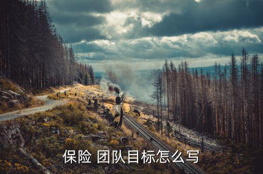 保險團隊工作發展計劃怎么寫,保險職業規劃怎么寫