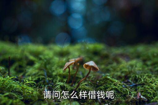 怎么樣可以借貸,支付寶可開通消費支付貸款和現金貸