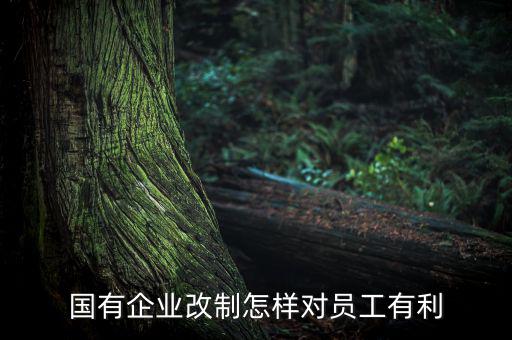 國有企業改制怎樣對員工有利